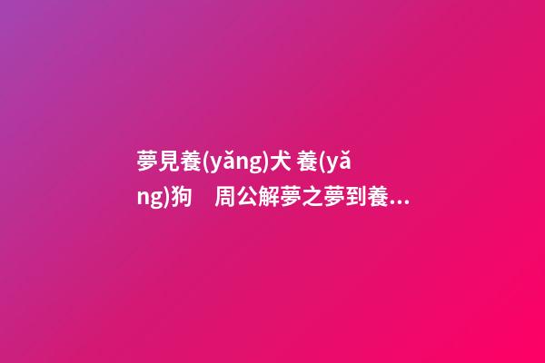 夢見養(yǎng)犬 養(yǎng)狗　周公解夢之夢到養(yǎng)犬 養(yǎng)狗